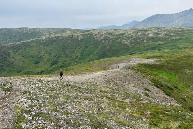 Alpine Classic Trek - Wildlife Spotting Opportunities