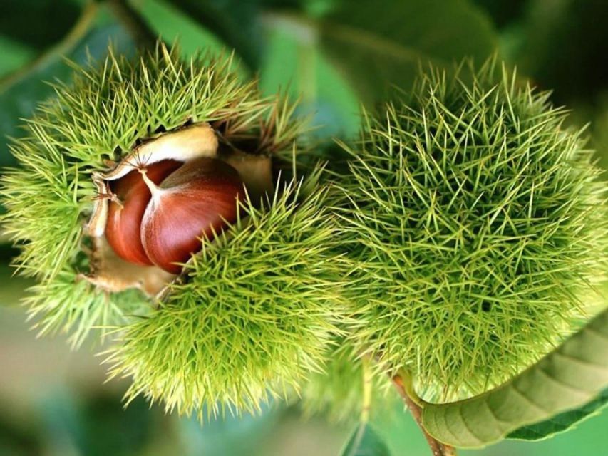 amazing-crete-elafonisi-day-tour-package-details