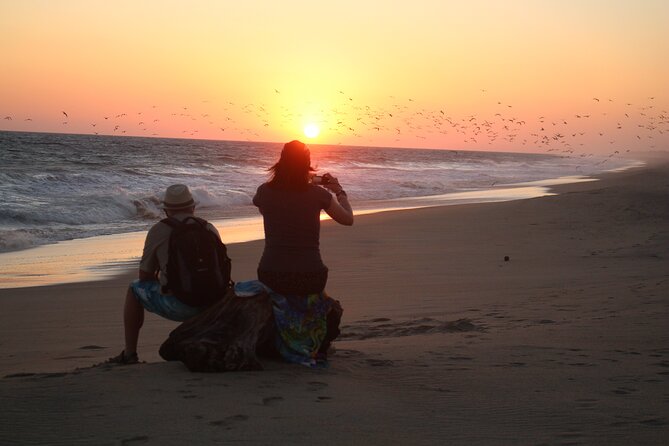 Amazing Turtle Release Tour - Inclusions and Logistics