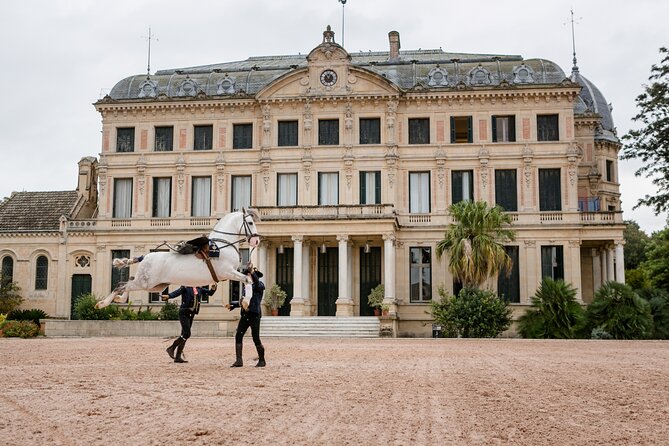 andalusian-horses-dance-show-andalusian-horse-performances