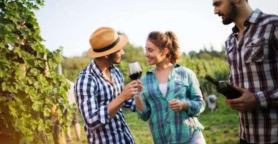 Andros Wine Tasting & Pythara Waterfalls Half-Day Tour