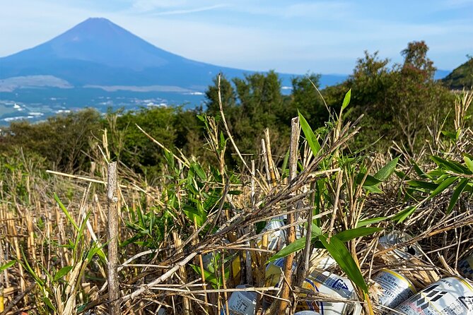 Aokigahara Nature Conservation Full-Day Hiking Tour - Inclusions