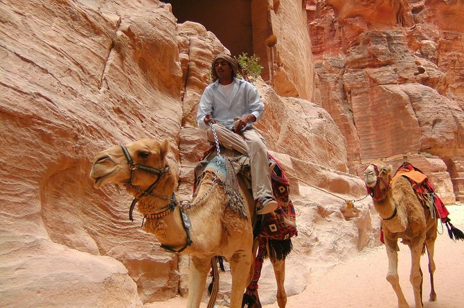 Aqaba Shore Excursion: Private Petra Sightseeing Tour With Lunch - Shore Excursion Overview