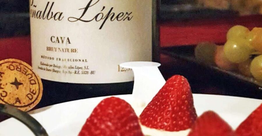 Aranda De Duero: Wine Pairing Tasting Course & Mini Tapas