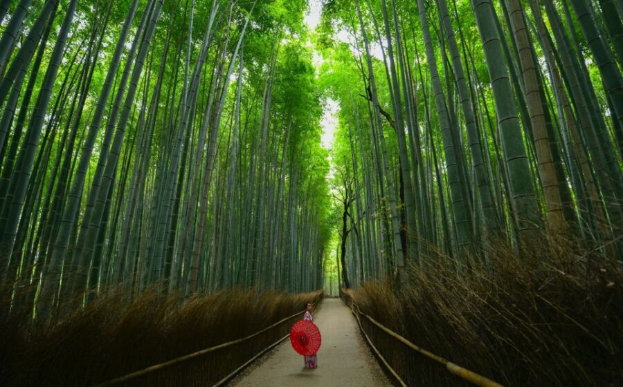 Arashiyama: Self-Guided Audio Tour Through History & Nature - Exploring Togetsukyo Bridge
