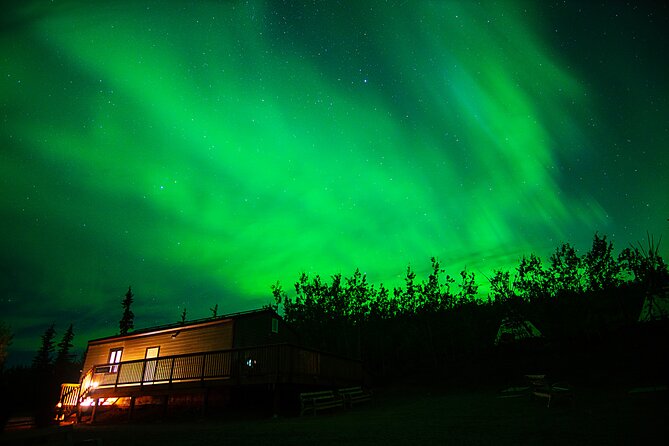 Arctic Day: Aurora Viewing Tour | Late Night