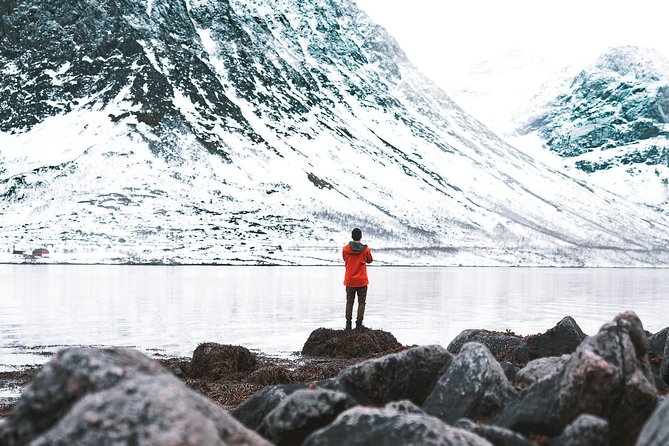 arctic-fjord-sightseeing-by-minibus-tour-overview