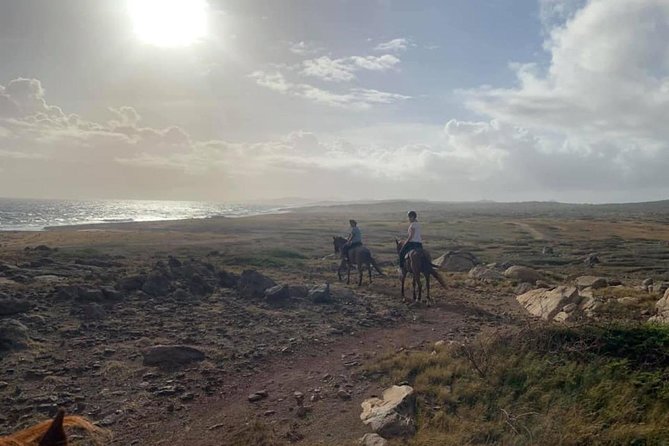 aruba-horseback-riding-tour-to-hidden-lagoon-stunning-countryside-and-desert