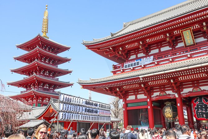 Asakusa Cultural Walk & Matcha Making Tour - Overview of the Tour