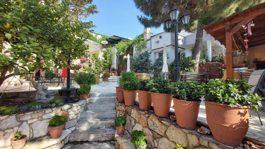 Athens: Private Half-Day Winery Tour With Dinner - Private Winery Experience