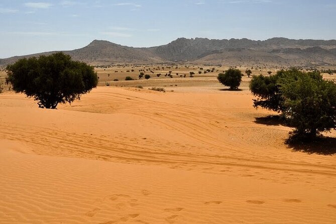 Atlantic Sahara and Ocean 4x4 Jeep Tour With Berber Lunch