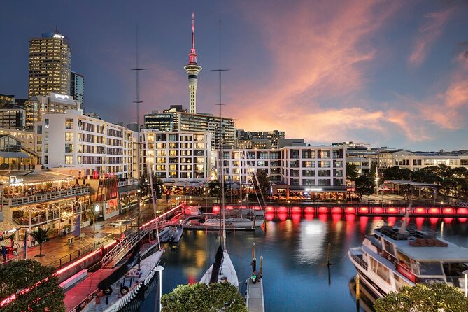 Auckland Airport Transfers: Auckland Airport AKL to Auckland in Luxury Car - Overview of Service