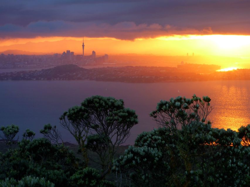 Auckland: Sunset & Night Sea Kayak Tour to Rangitoto Island - Tour Overview
