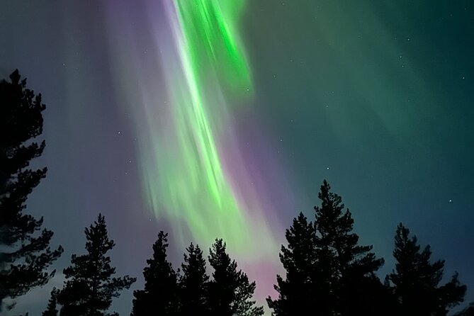 aurora-hunting-with-reindeer-caravan-overview-of-the-activity