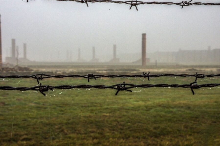 Auschwitz-Birkenau: Skip-the-Line Entry Ticket & Guided Tour - Historical Significance of Auschwitz-Birkenau