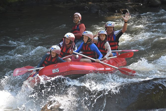 Ayung Rafting Ubud (Include Lunch & Return Transportation) - Overview and Experience