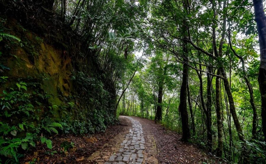 Bach Ma Mountain: Full Day Trekking From Hue (Group Tour) - Overview of the Tour