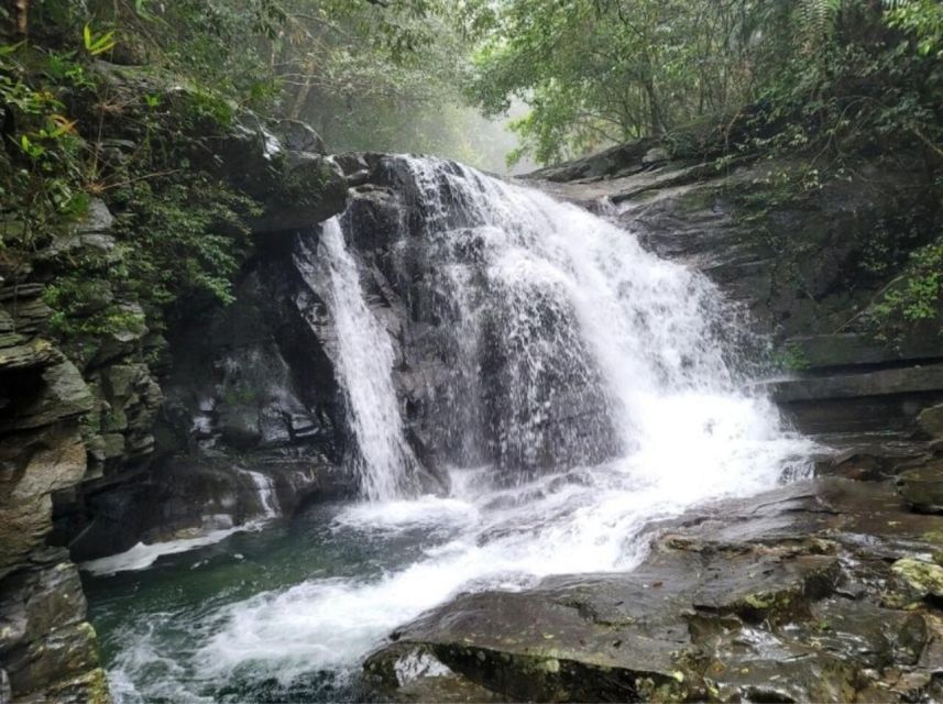 Bach Ma National Park: Day Trek Private Tour - Hoi An/DaNang - Tour Details