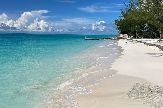 Bahamas Adventure: Pigs, Reef, Turtles, and Beach With Lunch - Meeting and Pickup