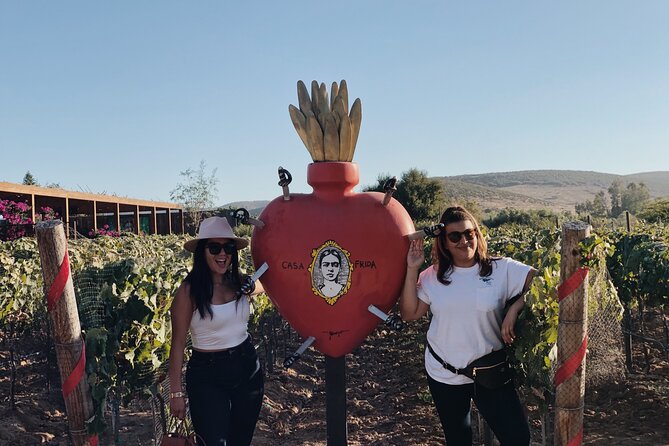 Baja Tour Guide Wine Tour