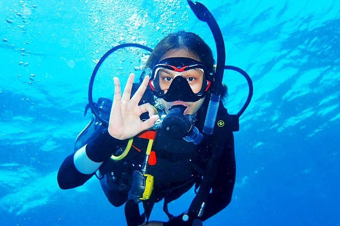 bali-diving-for-beginners-tulamben-liberty-wreck-overview-of-bali-diving-for-beginners
