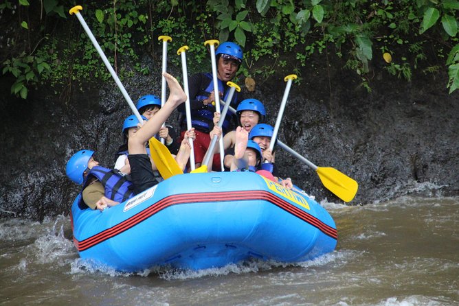 Bali Hire Car and Driver - Service Overview