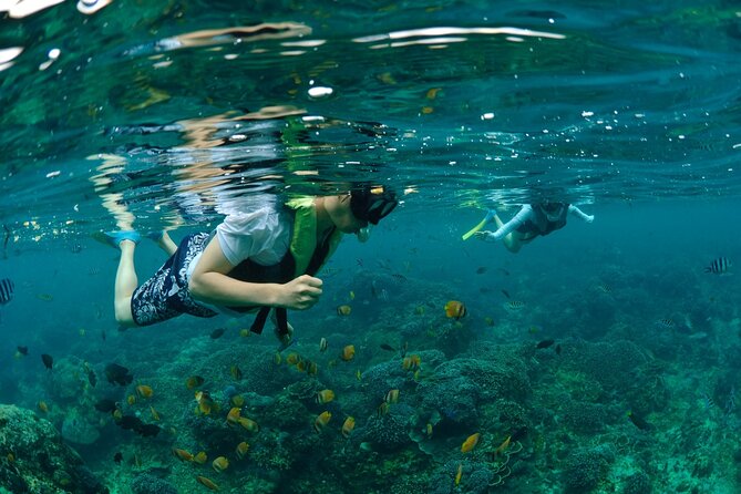 Bali Lembongan Island Beach Club Day Trip - Included Activities and Facilities