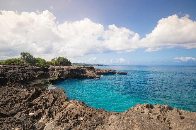 Bali Reef Cruise and Lembongan Island Day Trip - Inclusions