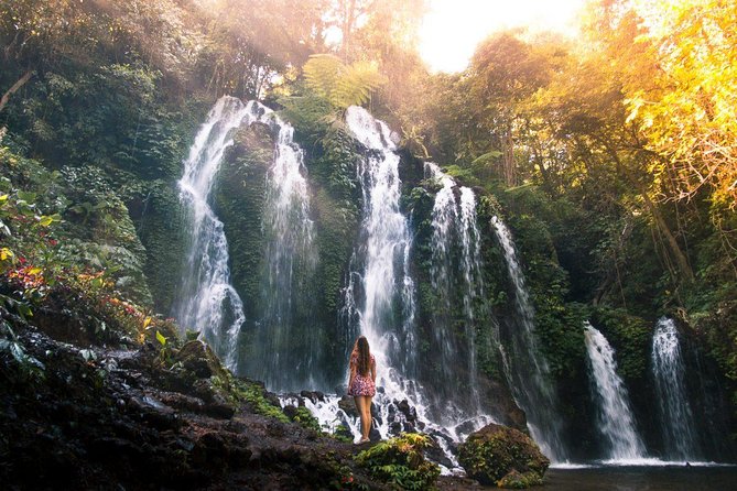 Bali Secret Waterfall Tour - Private and All-Inclusive