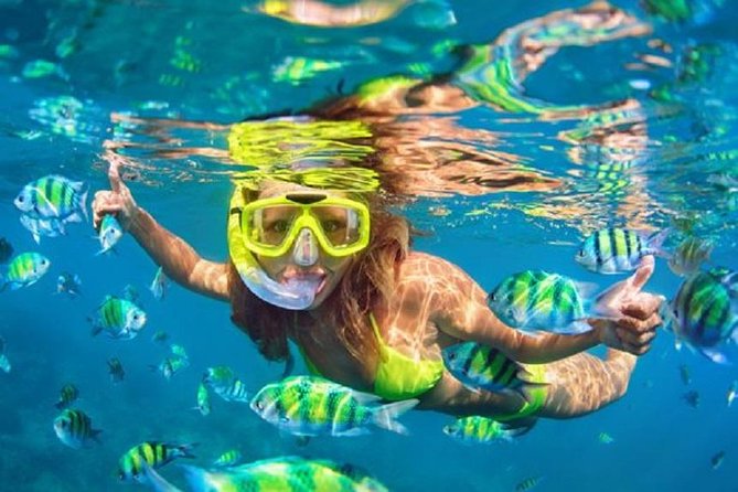Bali Snorkeling at Blue Lagoon With Transport and Lunch - Overview of the Experience