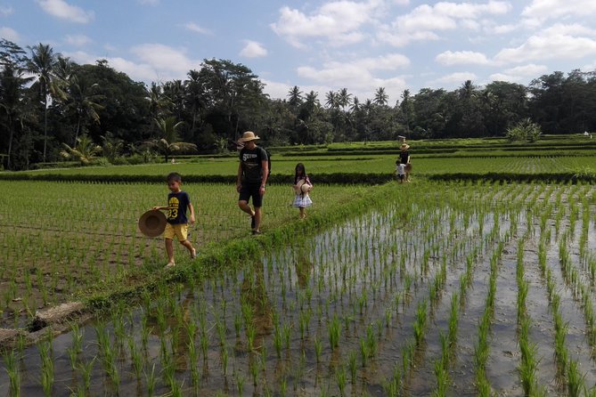 Balinese Cooking Class at Organic Farm - Overview and Experience