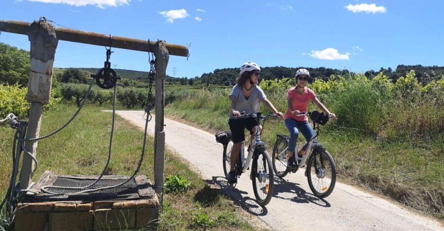 Barcelona: Bike & Wine Guided Tour – Penedès Vineyards