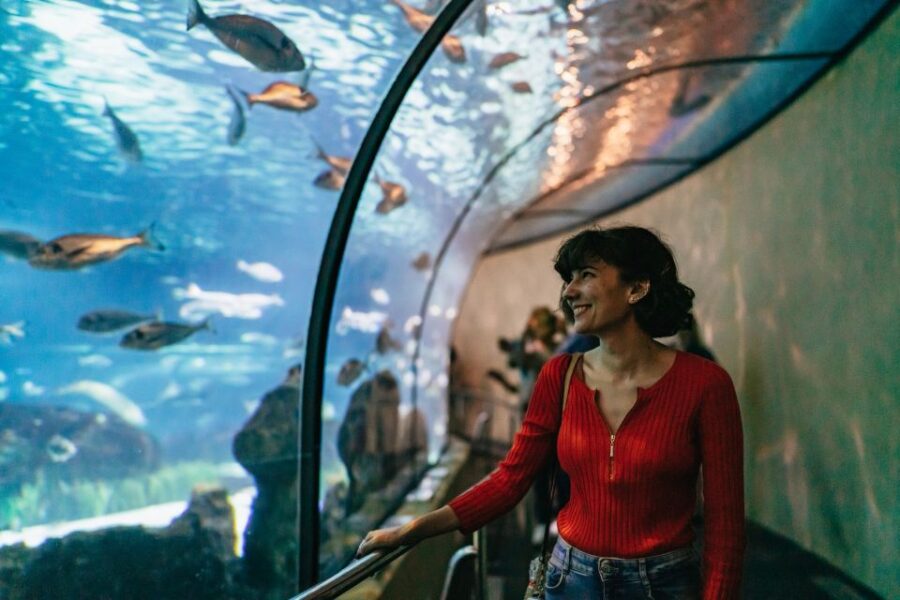 barcelona-hop-on-hop-off-bus-aquarium-tour-overview-of-the-combo-tour