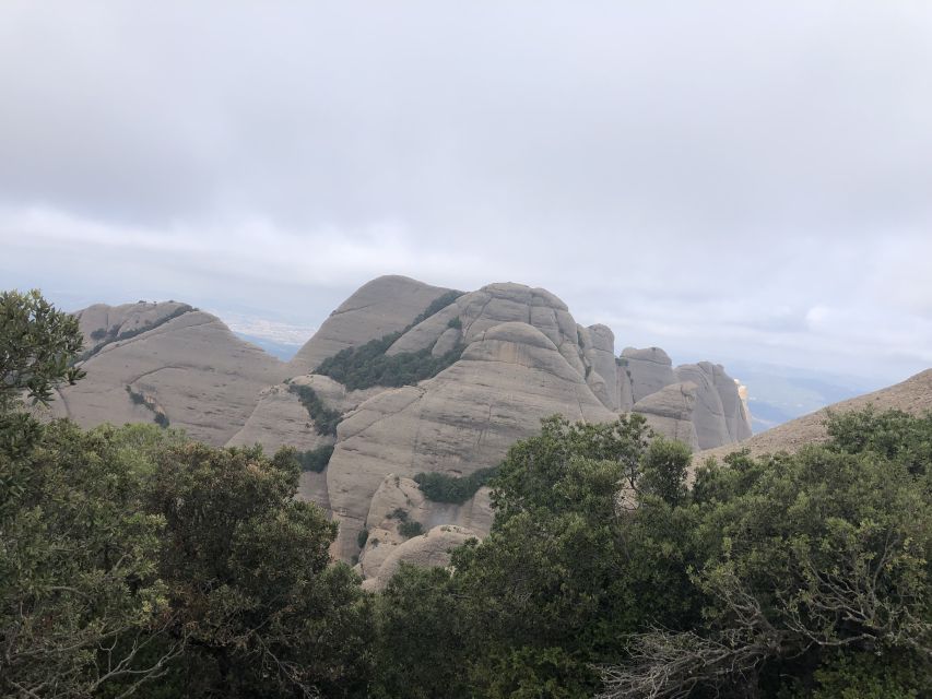 Barcelona to Montserrat Day Trip - Tour Details