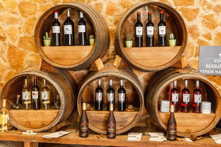 Barcelona Wine Tasting Private Tour With Wine Expert - Tour Overview