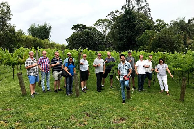 Barefoot Luxury Mount Tamborine Winery Tour From Brisbane - Tour Overview