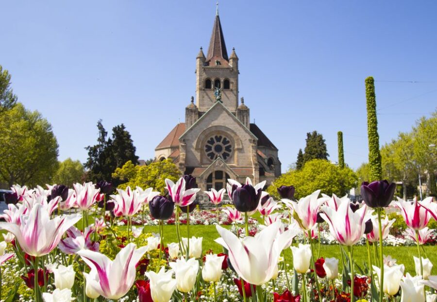 basel-capture-the-most-photogenic-spots-with-a-local-iconic-landmarks-of-basel