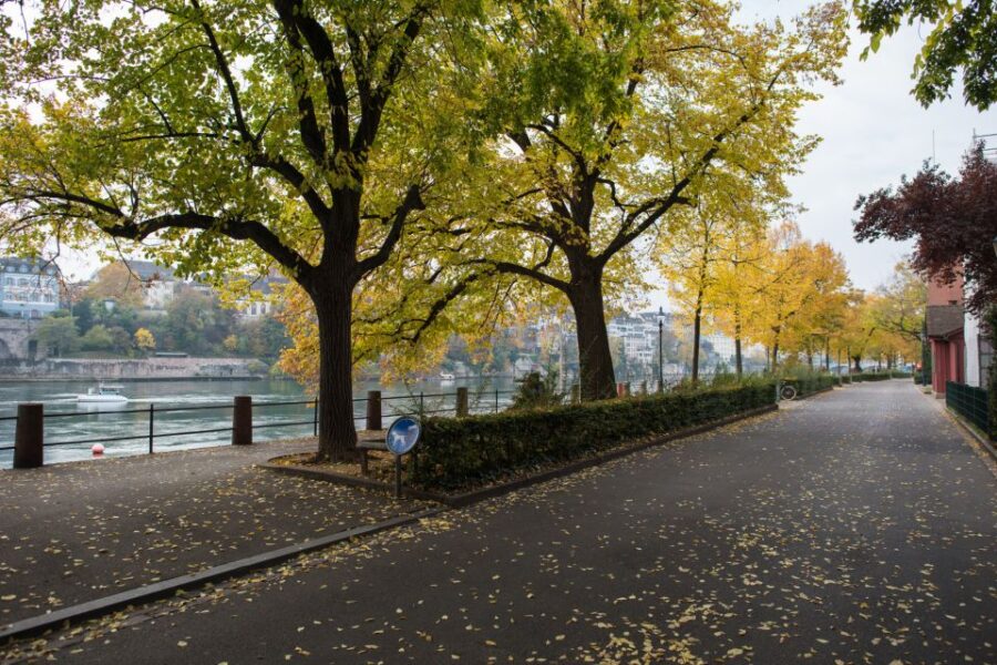Basel: City Exploration Game and Tour - Activity Details