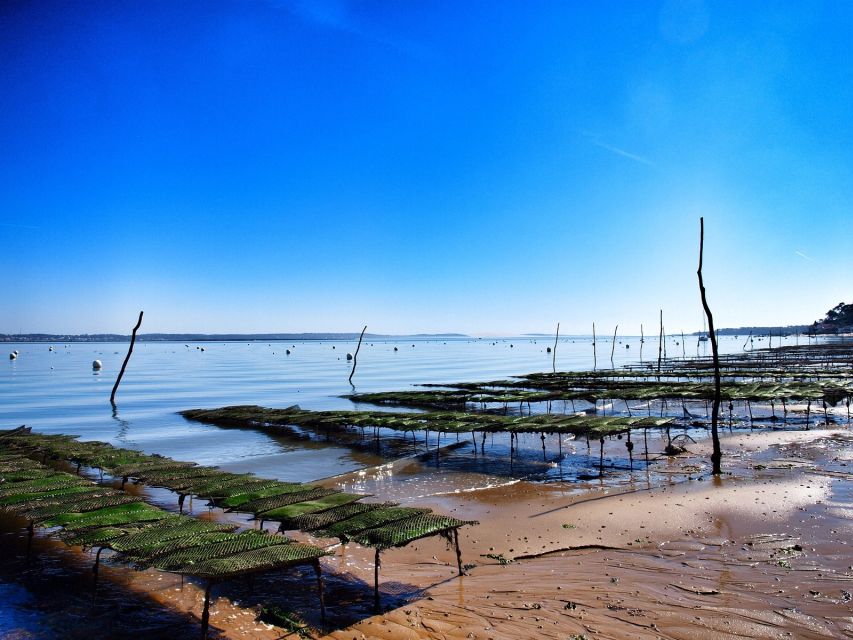 3 Best Guided Tours In Arcachon