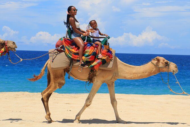 Beach ATV & Camel Ride COMBO in Cabo by Cactus Tours Park