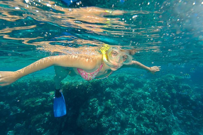 Beach Hopper Snorkeling Tour in Los Cabos - Tour Highlights
