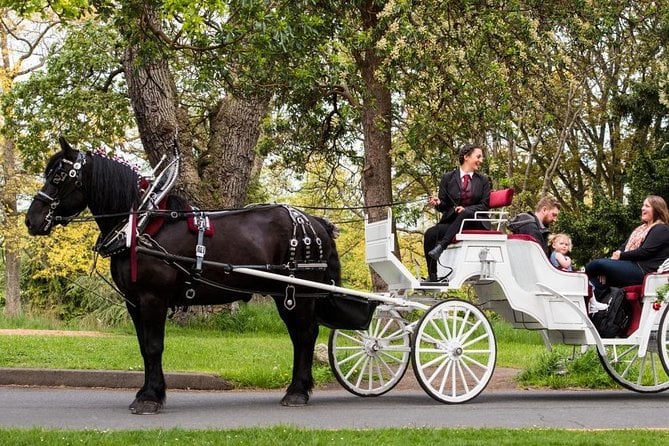 beacon-hill-park-horse-drawn-carriage-experience-in-victoria-scenic-waterfront-and-salish-sea