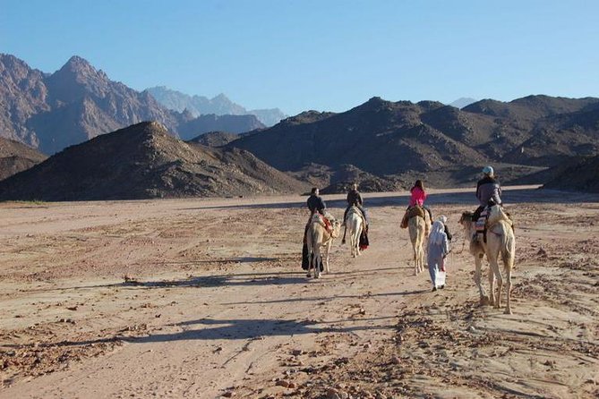 Bedouin BBQ in the Egyptian Desert by 4x4 - Navigating Desert Terrain