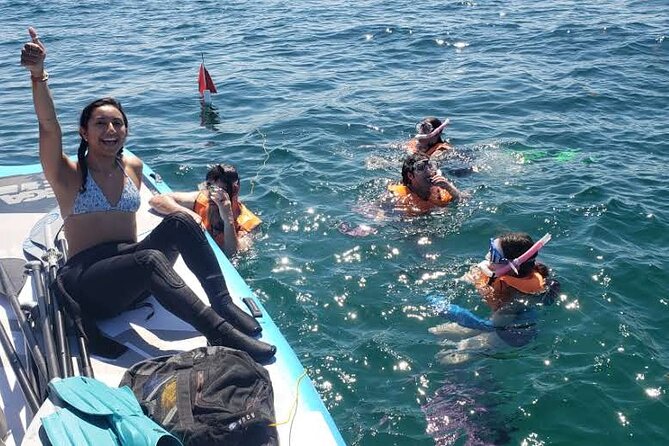Beginner Friendly Island Snorkeling - Overview of the Snorkeling Tour