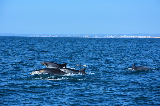 Benagil Caves Visit With Dolphins Watching From Albufeira