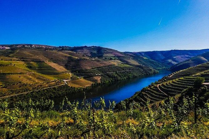 Best of Douro Valley Wine Full Day Private Tour