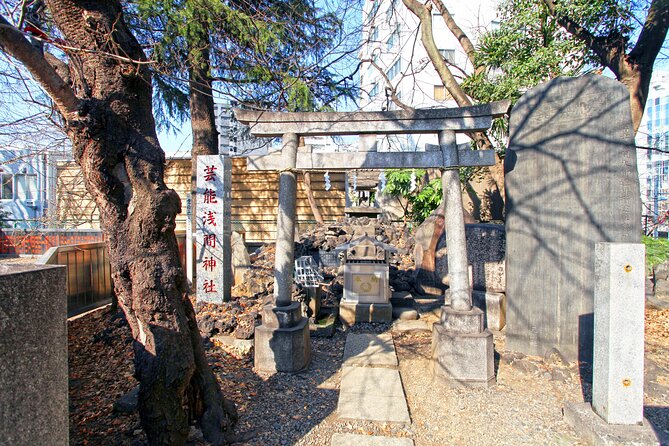 Best of Tokyo City Walking Tour for Kids and Families