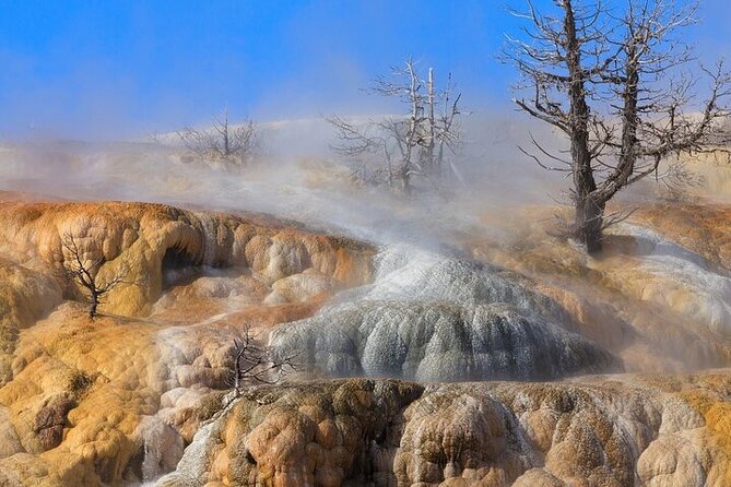 Best Of Yellowstone Full Day Natl Park Tour From Bozeman - Inclusions