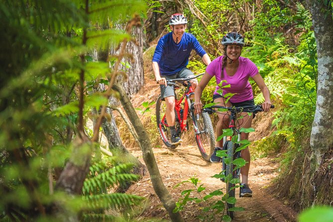 Bike Hire at the Waitangi Mountain Bike Park