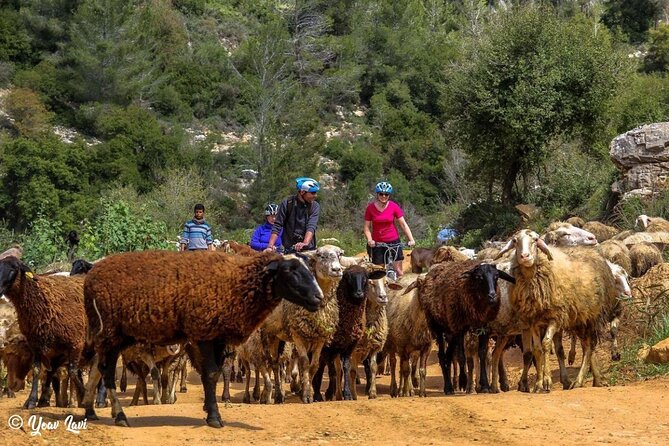 Bike the Holy Land With Yoav Lavi, Bike Guide for All Levels and a Photographer - Tour Overview
